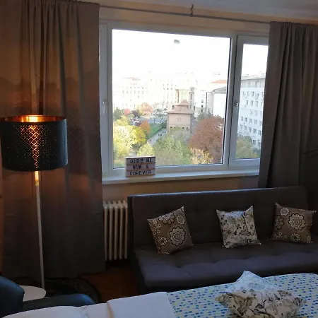 Apartment Apartament Sala Palatului *